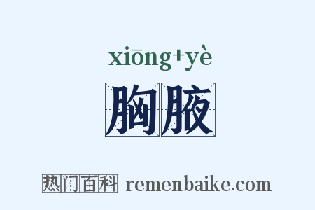 胸腋是什么意思的图片